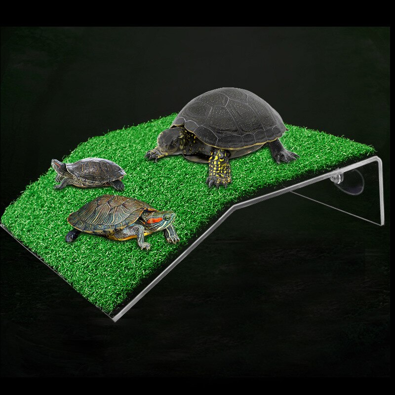 Kleine Schildpad Koesteren Platform Schildpad Ramp Reptiel Ladder Rusten Terras Aquarium Aquarium Voor Kleine Reptiel Kikker Terrapin