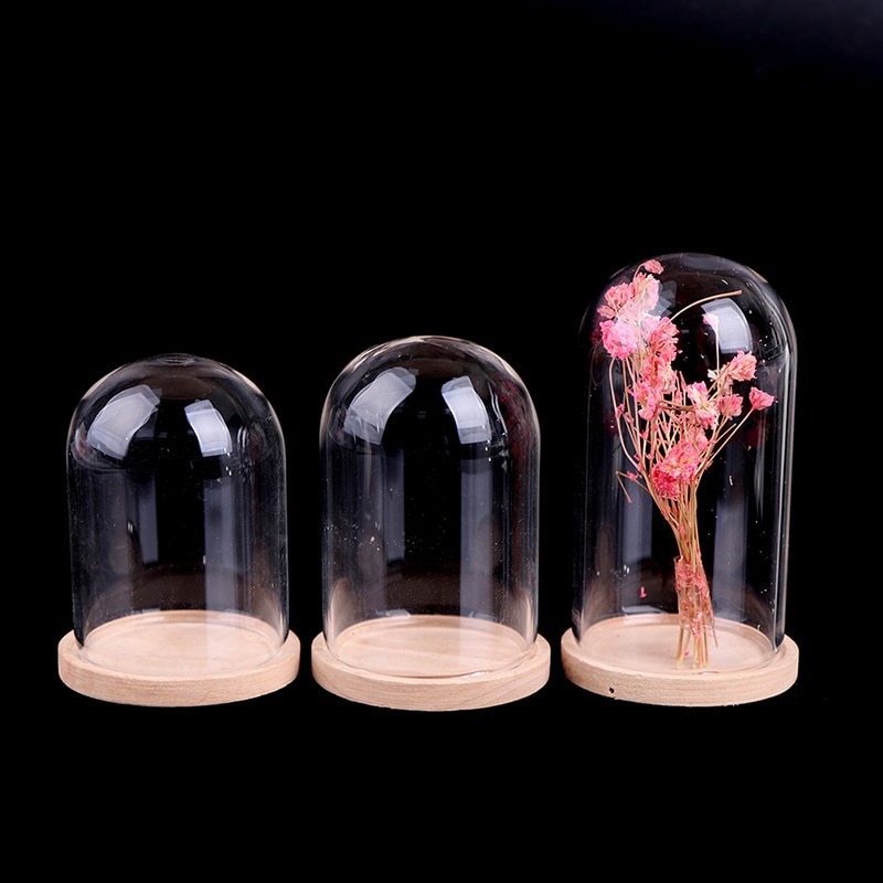 Vases de décoration en verre, présentoir de fleurs, Cloche, dôme, préservation immortelle + Base en bois, couvercle en verre de fleur éternelle