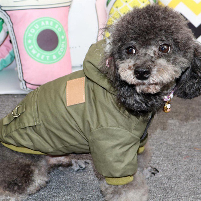 Pet Kostuum Voor Honden Waterdicht Hooded Hond Jas Winter Dikke Honden Jas Huisdier Chihuahua Franse Bulldog Kleding Voor Wandelen