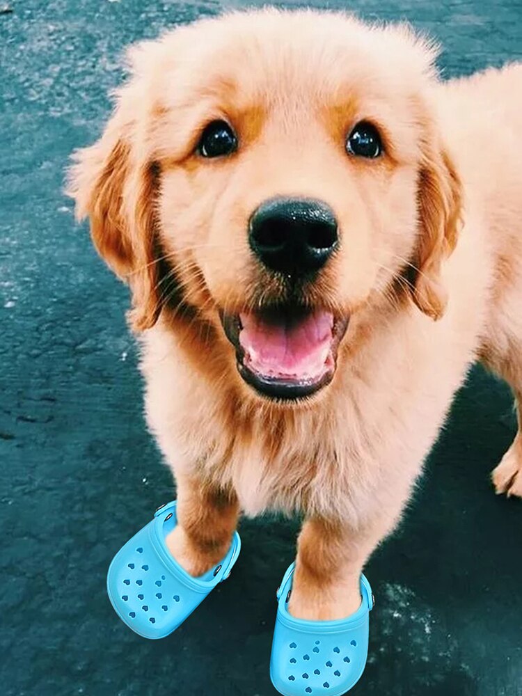 Hund Kauen Spielzeug Haustier Atmungsaktive Hausschuhe Rutschfeste Schuhe Für Große Hund Süßigkeiten Farbige Löchrigen Schuhe Sommer Atmungsaktives Gittergewebe Hund Schuhe