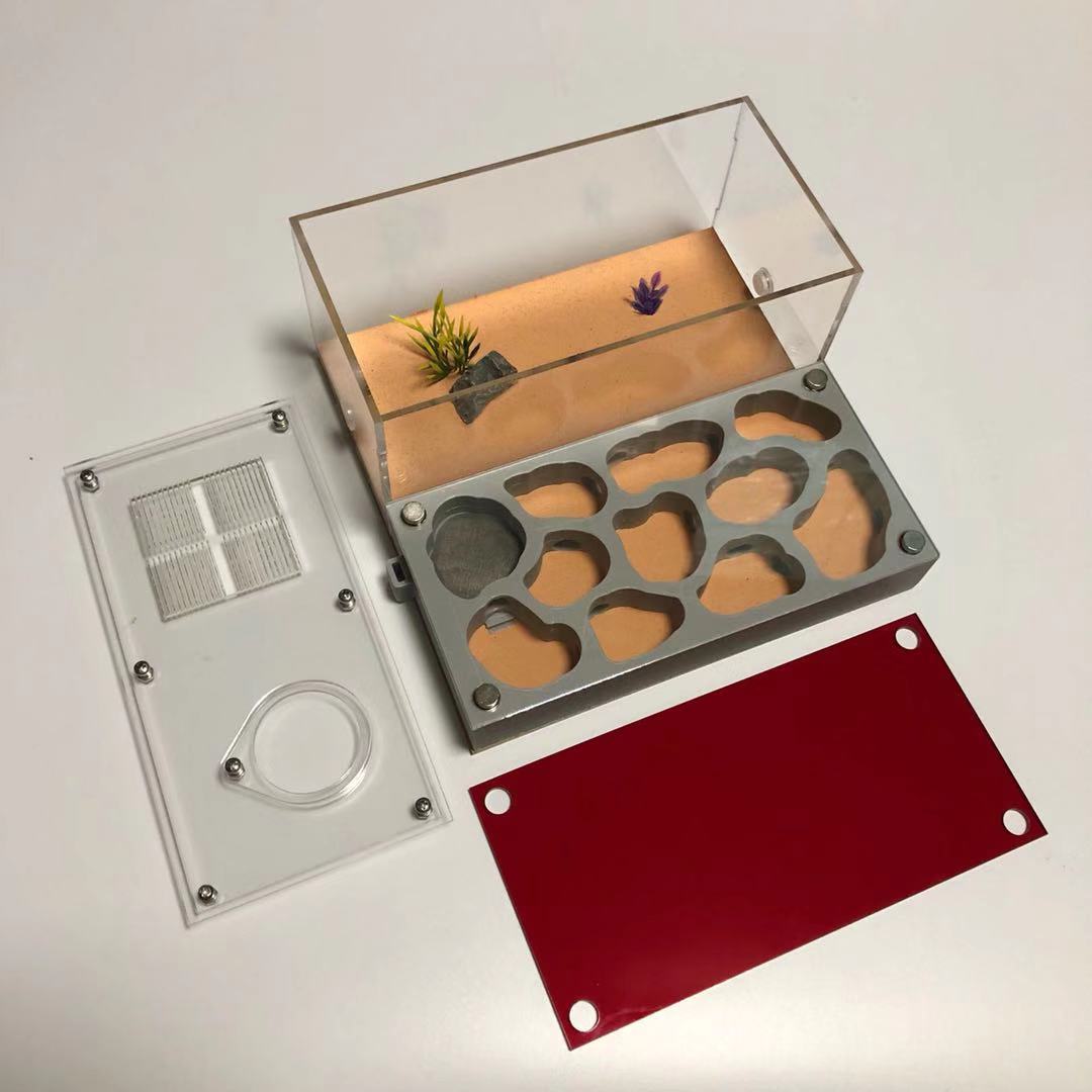 3D Nest Flat Nest Series Acrylic Ant Nest Concrete Nest Ant Workshop Ant Castle Ants Farm House