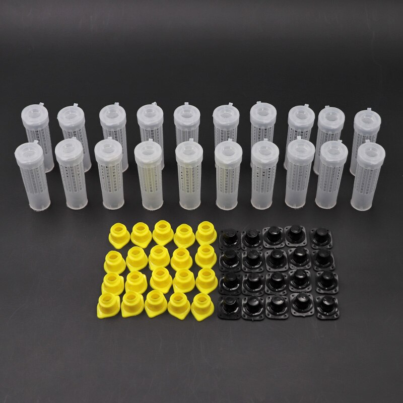 Insect Rearing Cups 10/20/60/80Pcs Beekeeping Rearing Cup Kit Queen Be... – Grandado