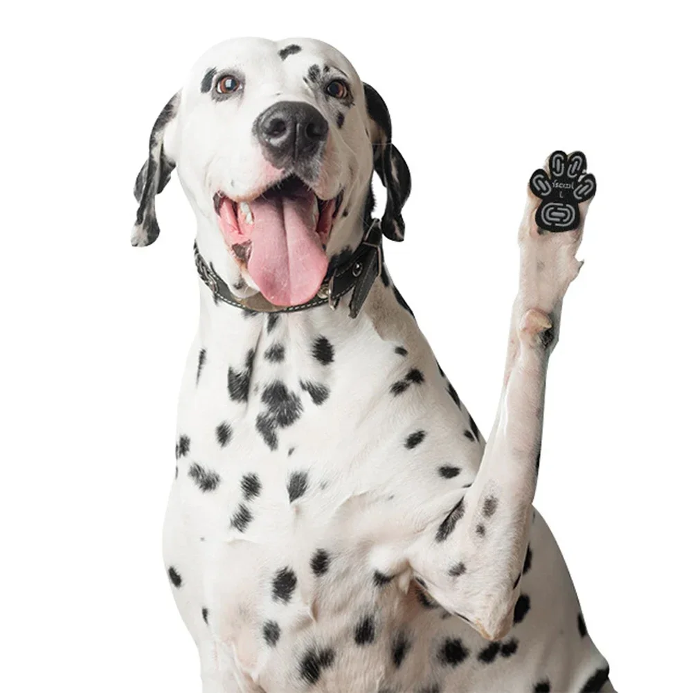 Almohadillas para dedos de los pies de perro, protectores de patas que proporcionan tracción del pie para perros mayores en suelos deslizantes, Ideal para protección de pavimiento en , 4 Uds.