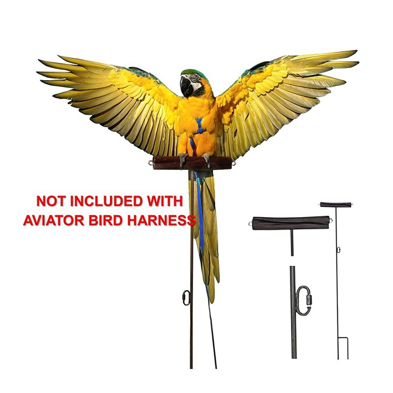 Meilleur 2x harnais et laisse pour oiseaux de compagnie, laisse de harnais pour oiseaux perroquet réglable-harnais et laisse de corde d'entraînement Anti-morsure pour animaux de compagnie (XS & P)