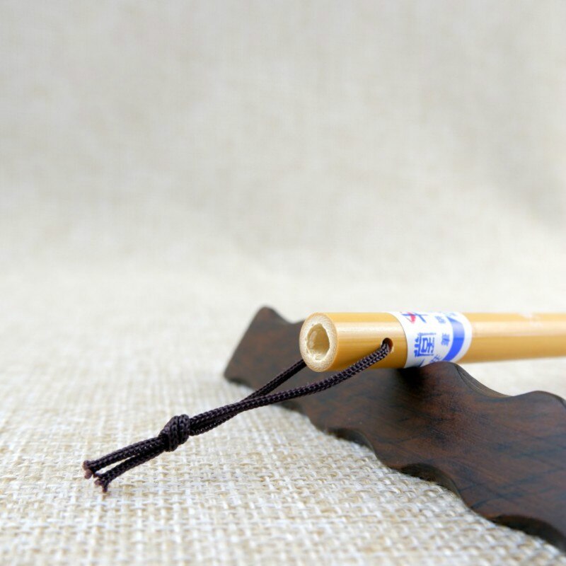 Calligraphy Pen Chinese Beginner Calligraphy Painting Practise Writing Brush Chinese Multiple Hair Writing Brush Tinta China