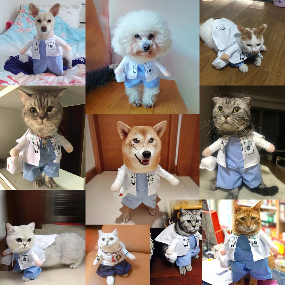 Kattehund sjove læge kostumer opretstående varierer kostume til hunde katte 6201004 kæledyr hvalpe tøj forsyninger sml xl