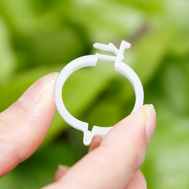 50 Stuks Plastic Plant Ondersteuning Clips 23Mm Herbruikbare Klemmen Voor Opknoping Tomaten Wijnstok Vaste Stand Groei Tuin Kas Levert