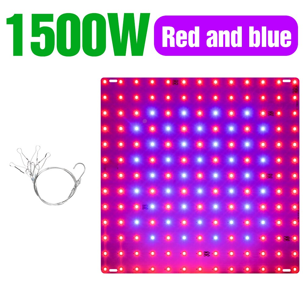 Led Grow Light Led Phytolamp Volledige Spectrum Lamp Plant Groei Hydrocultuur Planten Zaad Bloem Grow Box 1000W 2000W quantum Board: C-1500W-Redblue / US Plug