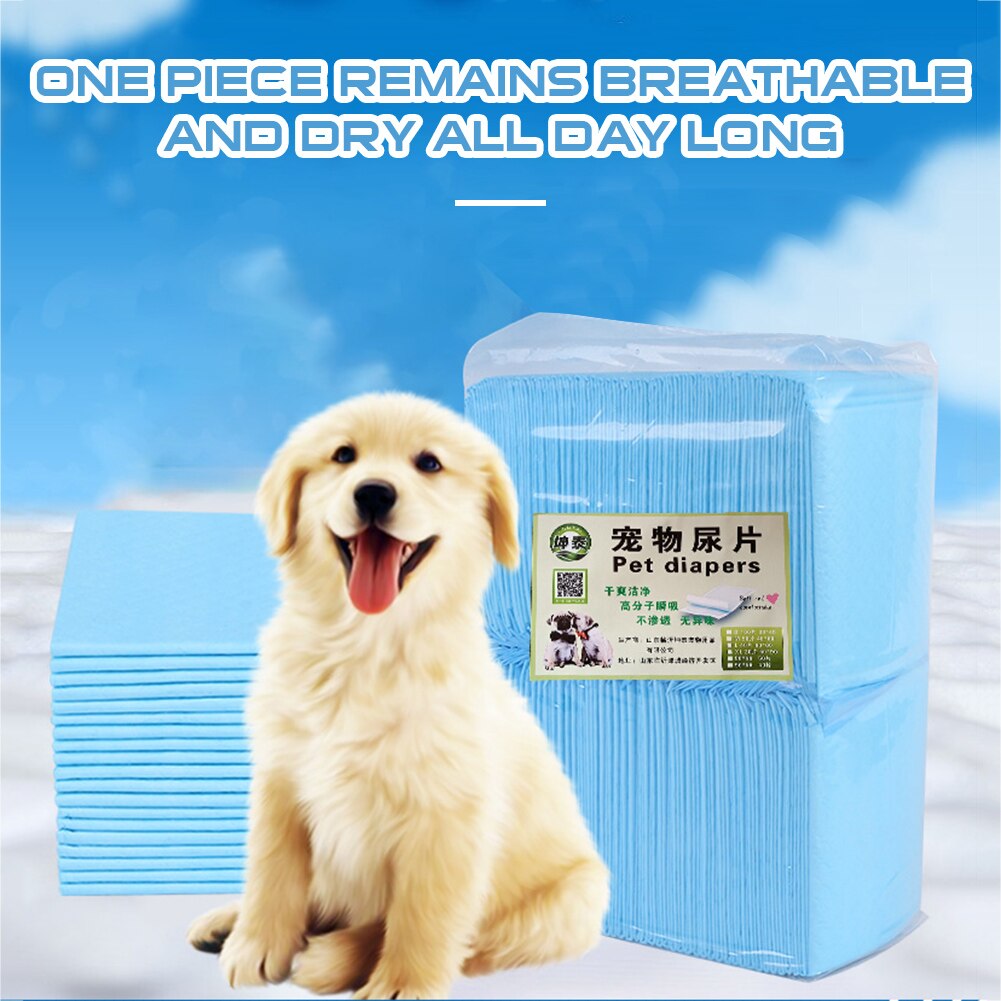 10/20counts Training Pads Dog and Puppy Training Pads Heavy Duty 5-Layer Leakproof Absorbent Pee Pads, S-XL