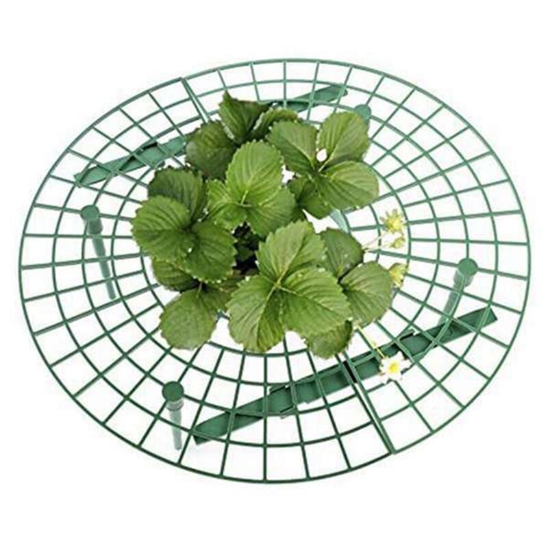 10 sztuk balkon stojak na warzywa stojak na owoce truskawka stojak roślin wsparcie truskawka Gg wsparcie półka