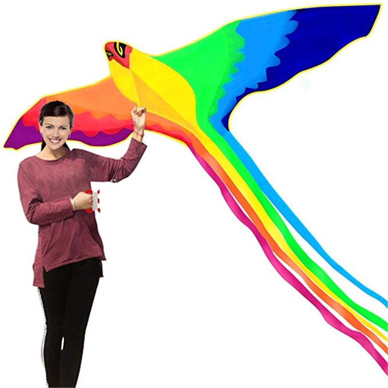 Phoenix Kite Met Lange Kleurrijke Staart Met Handvat Lijn Eenvoudige Bediening Familie-uitjes Outdoor Fun Sport Grote Vliegeren Voor volwassenen