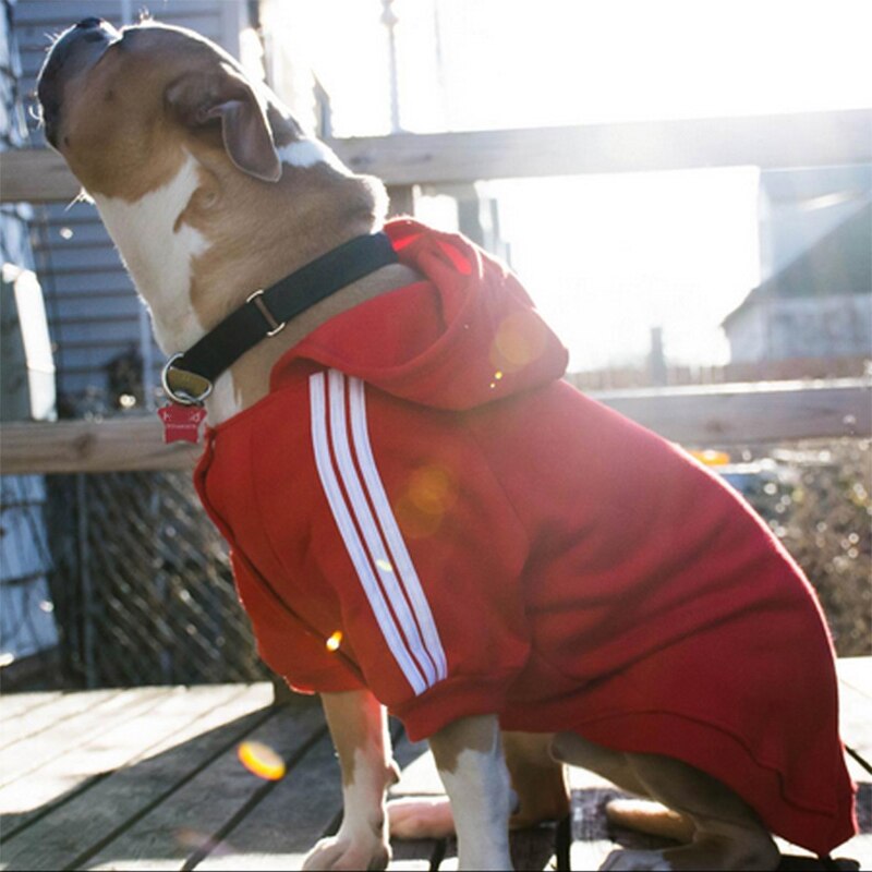 Warm Large Dog Clothes Winter hoodie big dog sweater pet coat Jacket Clothing for Golden Retriever Samoyed Labrador Husky Dogs