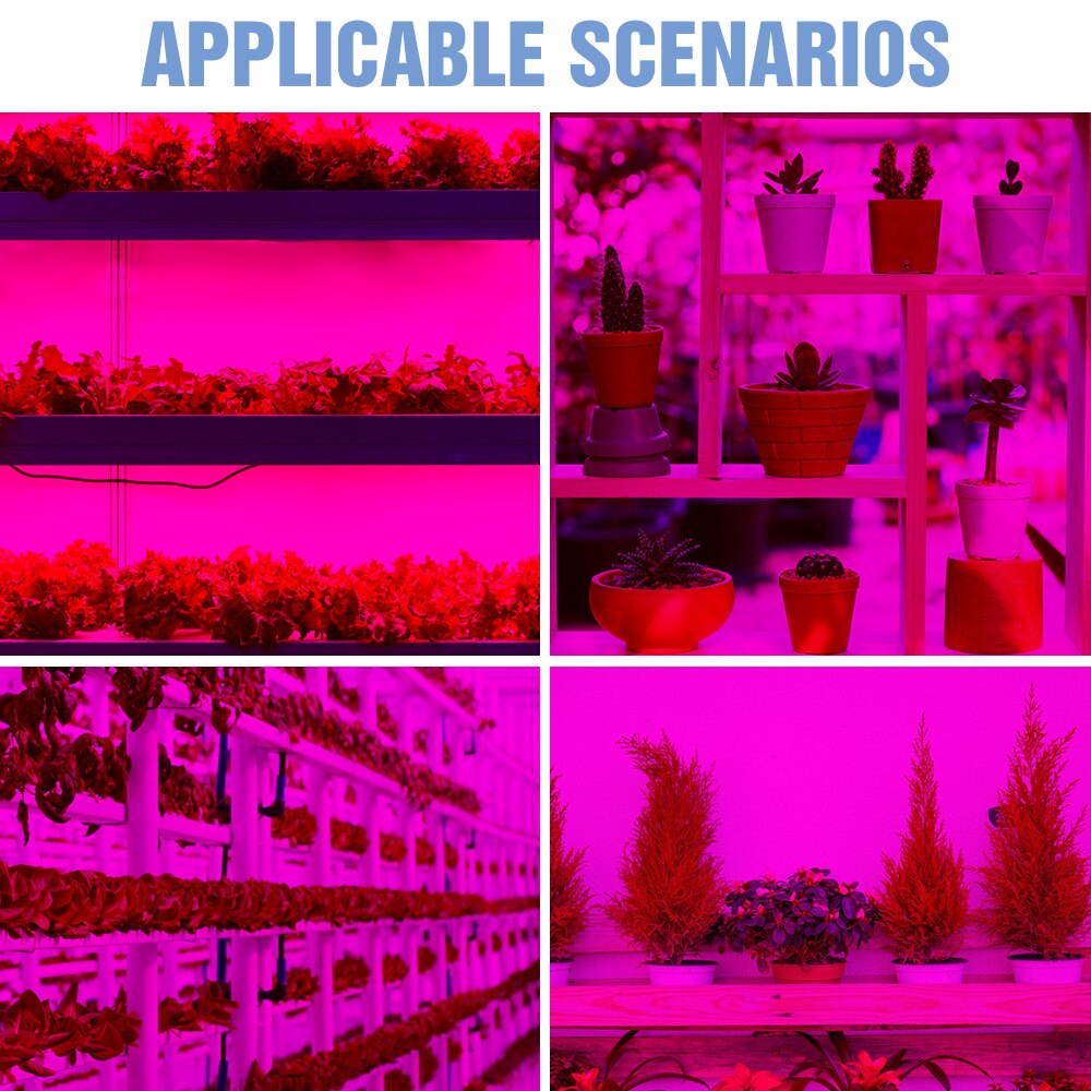 USB Plant Grow Light 5V Dimmable Strip Tape LED Full Spectrum Phyto Lamp Waterproof Seedling Fito LED Indoor Flower Growth 2835