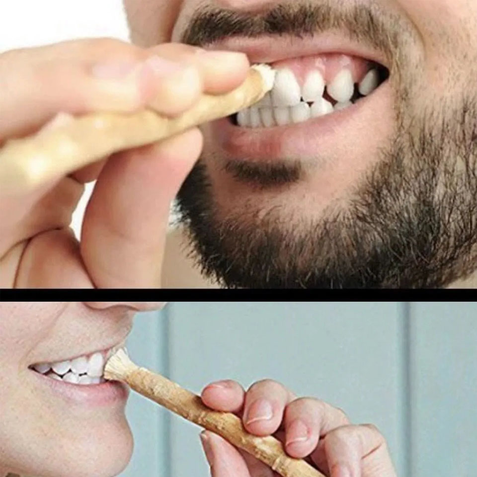 Miswak Sewak bastone Spazzolino da denti per la pulizia dei denti Tradizionale Tutto naturale Misvak Siwak Miswaak Rimozione macchie Viaggio 10 pezzi