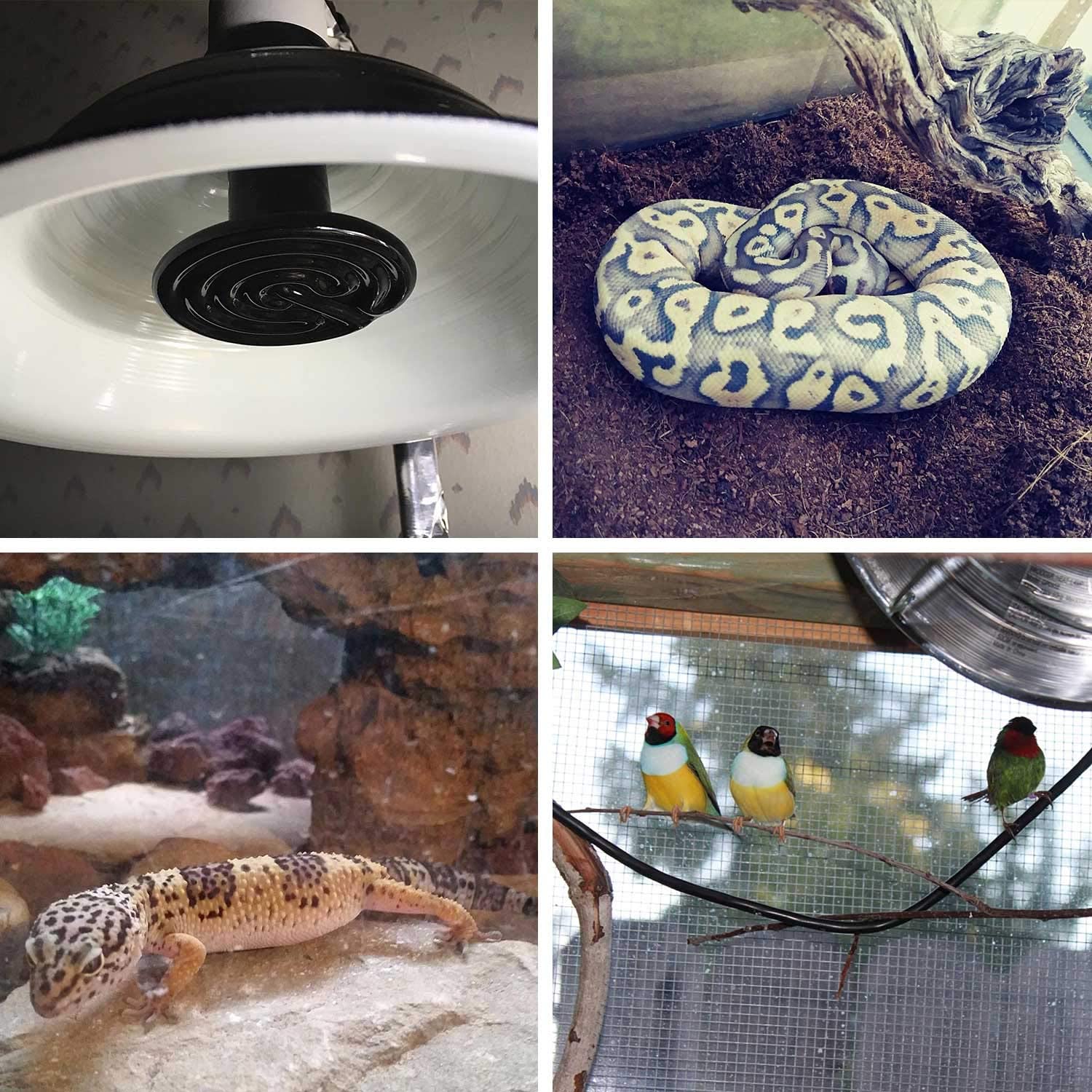 Lámpara de calor de cerámica infrarroja para reptiles, emisor de bombilla para calentador de mascotas, pollo, lagarto, Tortuga, cría, acuario, serpiente, sin daños