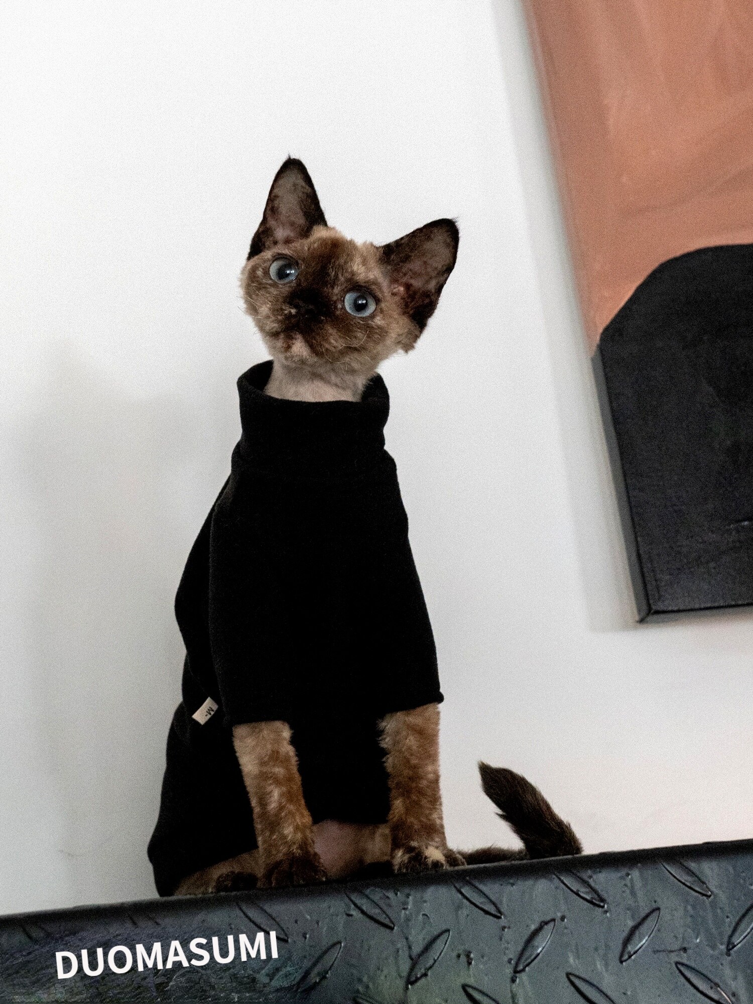 STOCK CLEAN Hairless Cat Clothes Warm Winter Thick Cat Clothes Cationic Self-heating,Sphynx,Devon Cat Clothes