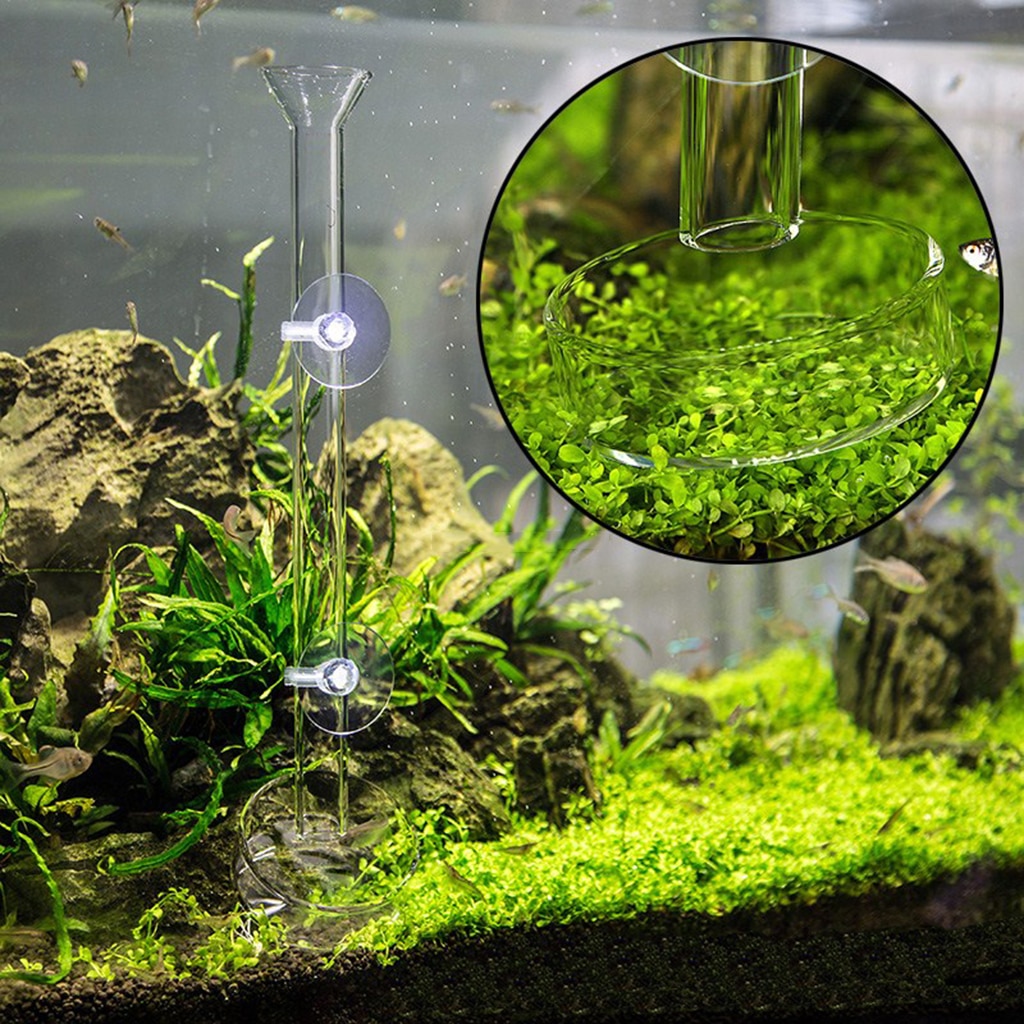 Juego de 2, gambas transparentes para comer comida, bandeja de alimentación para acuario, tanque de peces, 1 tazón redondo de 60mm (diámetro), Tubo de 1x30cm