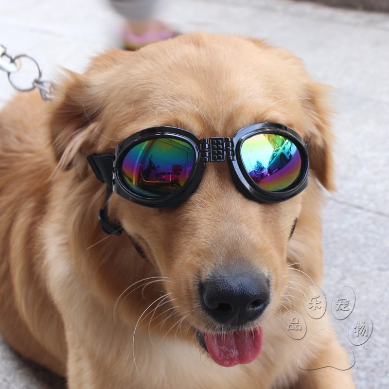 Hond Zonnebril Bescherming Ogen UV Goggles Hond Zonnebril Puppy