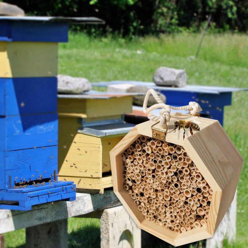 Casa de abejas e insectos de madera, casa de abejas, hábitat de colmena para mariquitas, lacewings