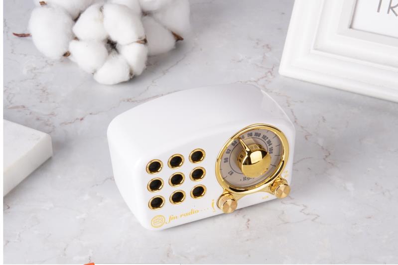 REDAMIGO przenośne Radio FM głośnik wzmacniacz Bluetooth odtwarzacz kart TF R919