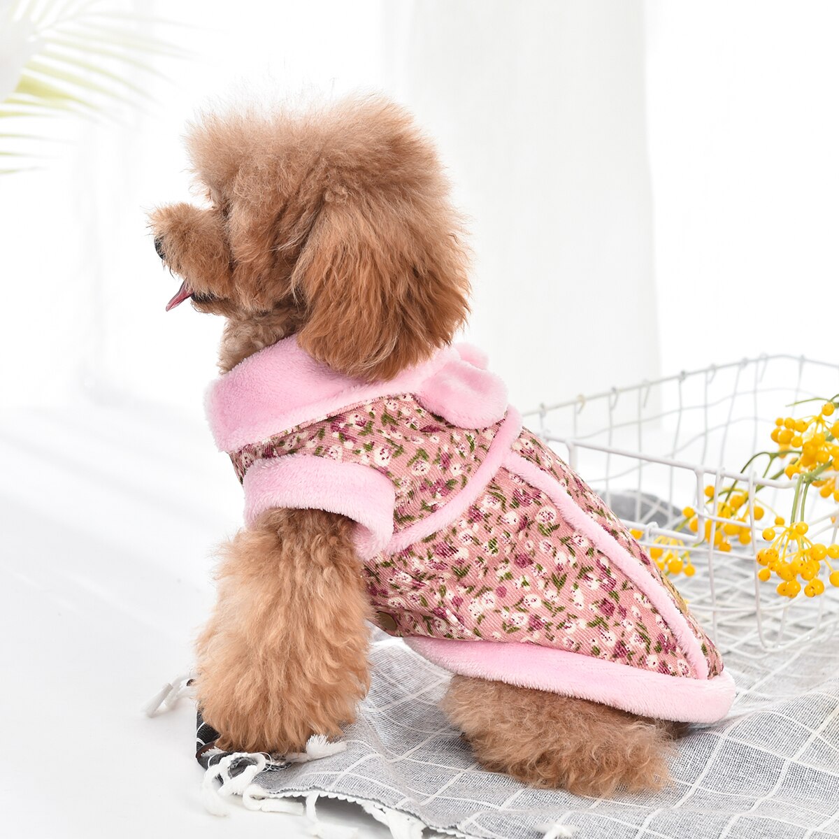 DAIHAN Mascota Perro Otoño Invierno Ropa De Abrigo Chaleco
