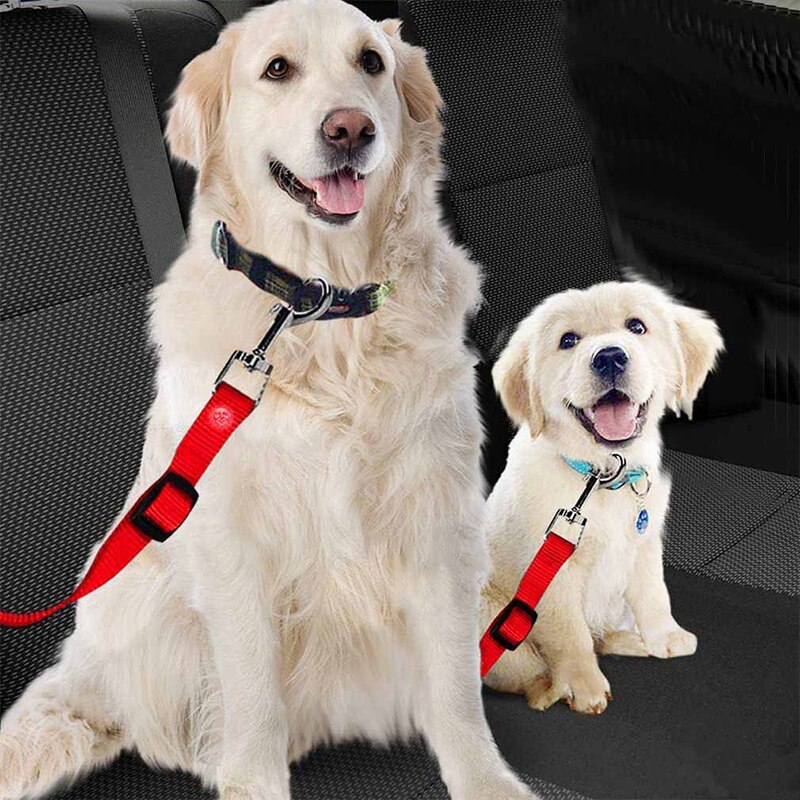 Verstelbare Hond Kat Autogordel Huisdier Autogordel Leash Voor Honden Reizen Tractie Kraag Harness Hondenriem Clip huisdier Product