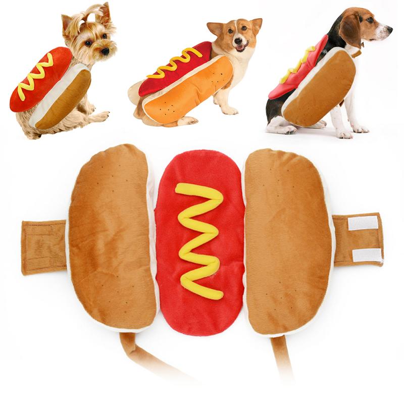 Costume amusant et pour animaux de compagnie, tenue de fête pour chien, créative et pratique, pour chignon, saucisses, fournitures pour animaux de compagnie