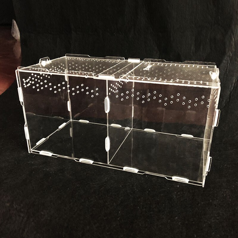 30*20*15cm krybdyr kasse samlet krybdyr terrarium holdbar gennemsigtig akryl koldblodede dyr kasse kæledyrs insektforsyning  c22