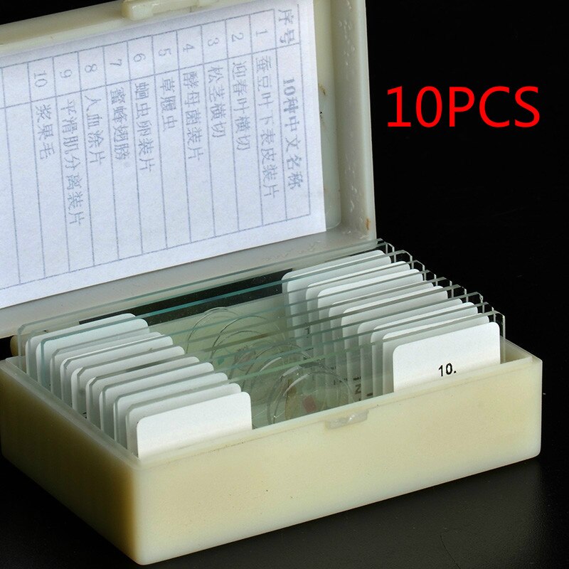 Biology 10/25/50/100/200 Prepared Glass Microscope Specimen Slides School and Laboratory English Label Teaching Samples