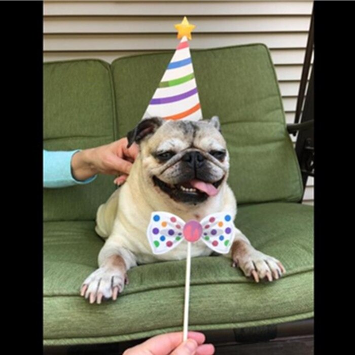 18 Pieces Birthday Photo Booth Props Hats,Glasses,Lips,Mustaches DIY Funny Props Kit for Birthday Party