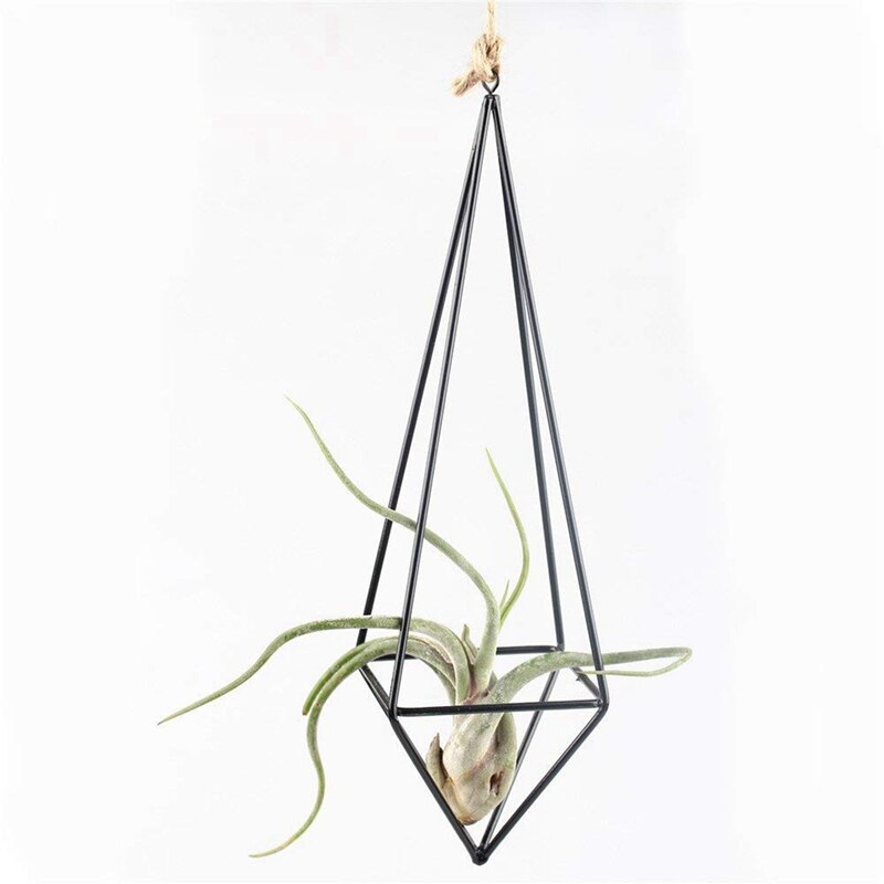 Modern Rustic Art Style Freestanding Hanging Iron Tillandsia Air Plant Rack &amp; Black Towel Ring Hand Towel Rack