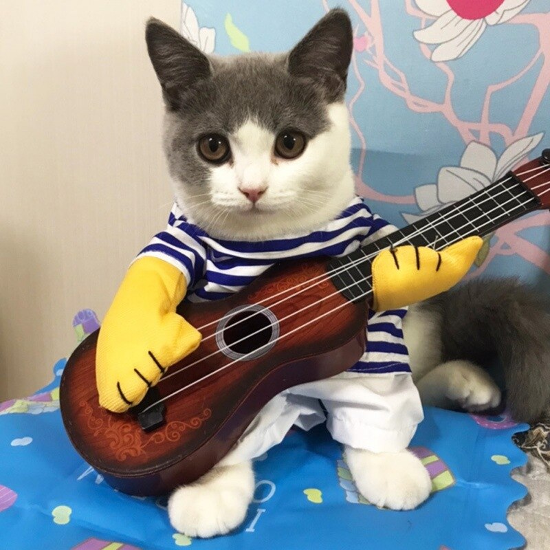 Cat costume with guitar best sale