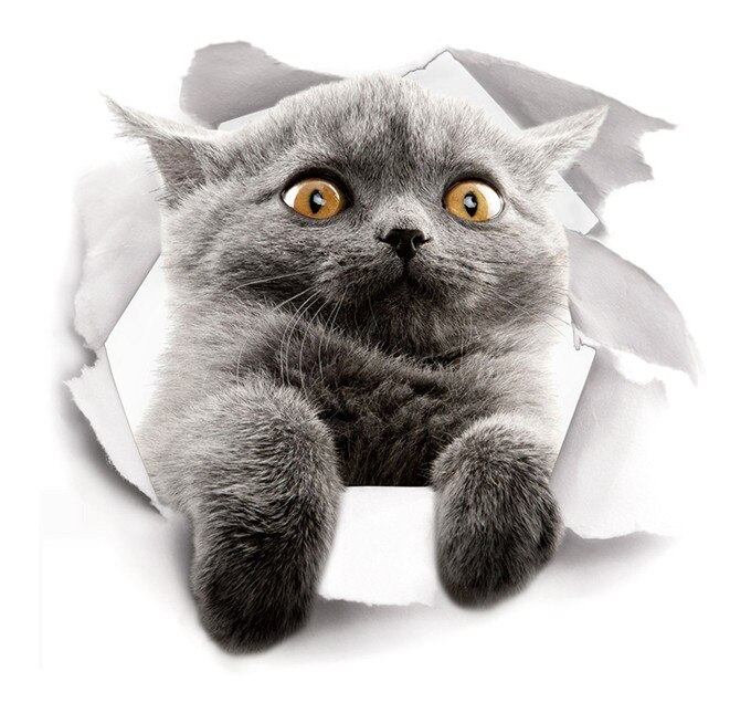 Schattig 3d kattenbehang zelfklevende waterdichte vinyl sticker voor slaapkamer badkamer decoratie huisdecoratie muursticker cartoon muurschildering: Xh2007