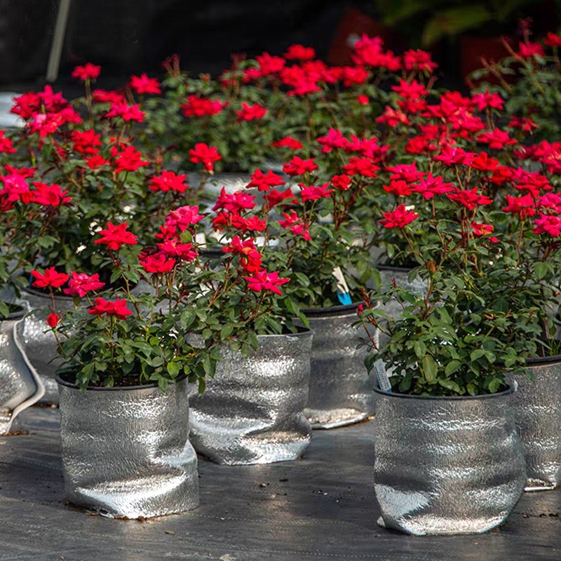 2m isoleringsfolie av aluminium, pärlbomull för sommarfönster, blomkrukor, isolering som skyddar mot frysning, foliefilm med tejp