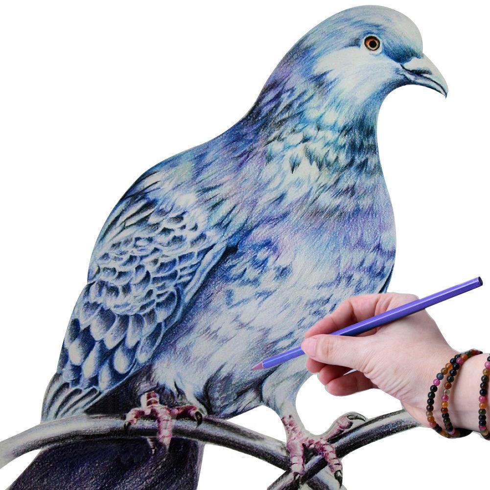 Special 24 Colors Drawing Pencils Non-toxic For Kid Adult Art Oil Base Sketch Art Oil Pencils Pens Artist Drawing Set