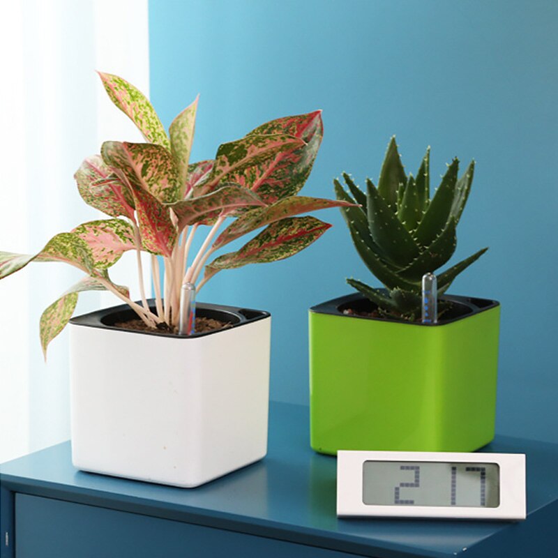 Waterniveau Indicator Gauge Display Watertekort Herinnering Voor Alle Huis Planten Bloemen Kruiden Vetplanten Indoor Potplanten