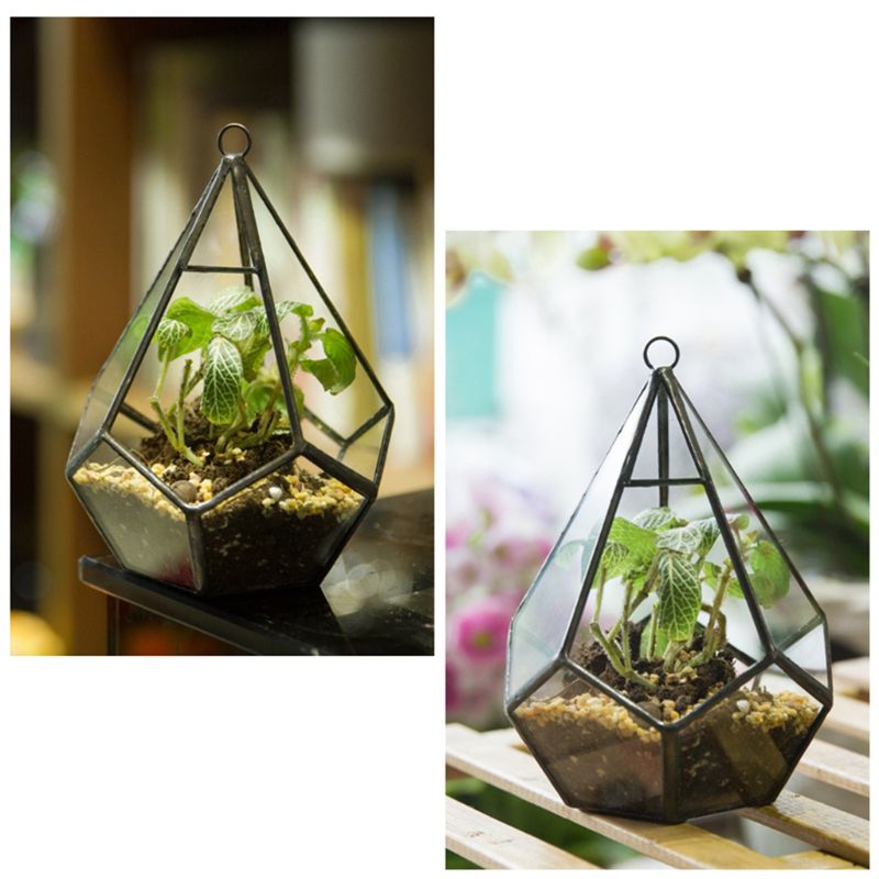 Hanging Glass Terrarium - Diamond Geometric Polyhedron - Wall Mounted Air Plant Holder