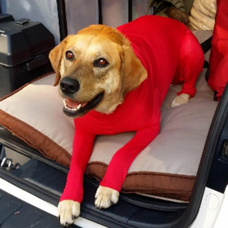 Traje de cirugía Post Pet después de la operación del perro beneficiosa para la recuperación de heridas, evita que la laminación de mascotas reduzca la extensión de las pulgas