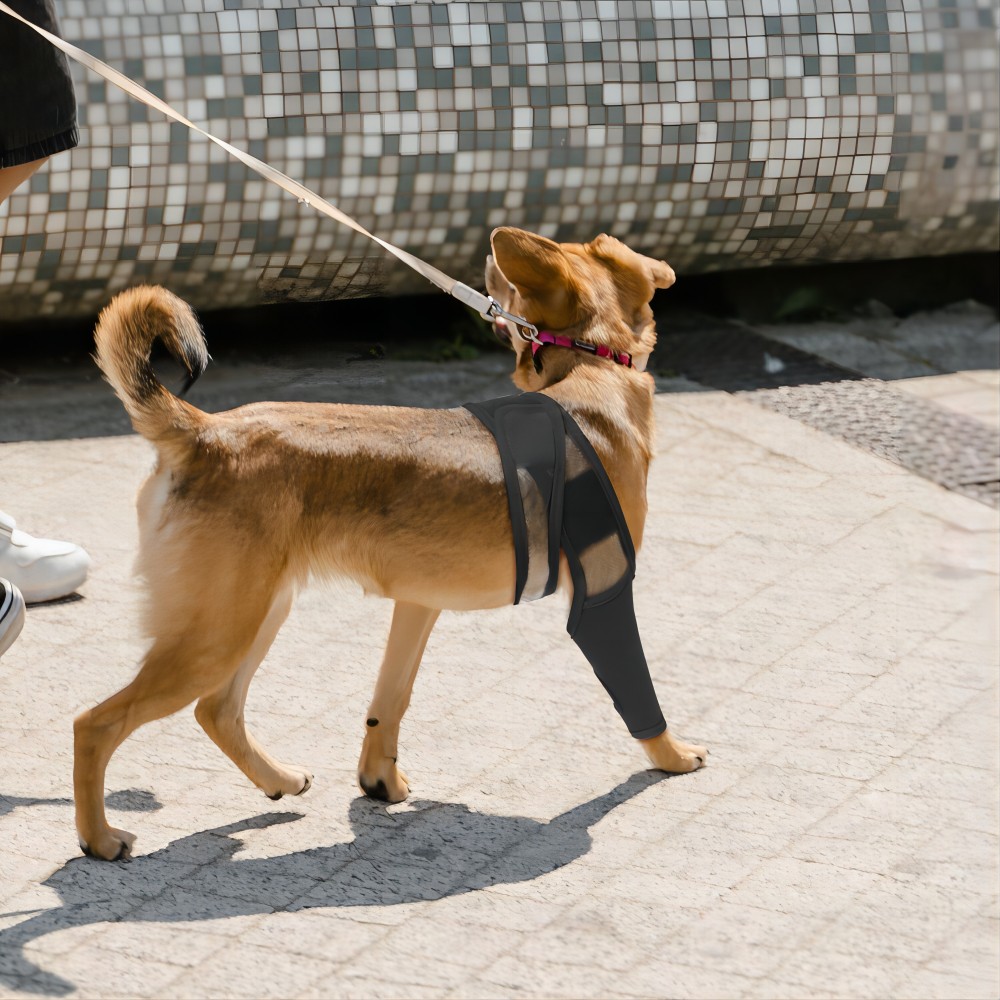 Hond Beensteun Ongelingeerd Voor Postoperatieve Fixatie Huisdier Kniebeschermers Voor Gewrichtsblessure Herstel Benen Brace Hond Heupgewricht Beschermen