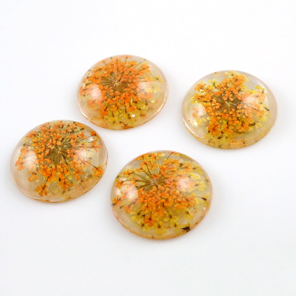 5pcs 25mm Mixed Natural Dried Flowers Flat Back Resin Cabochons Cameo: G3-10