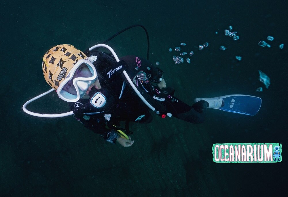 Oceanarium Neoprene Beanie Scuba Diving Hood