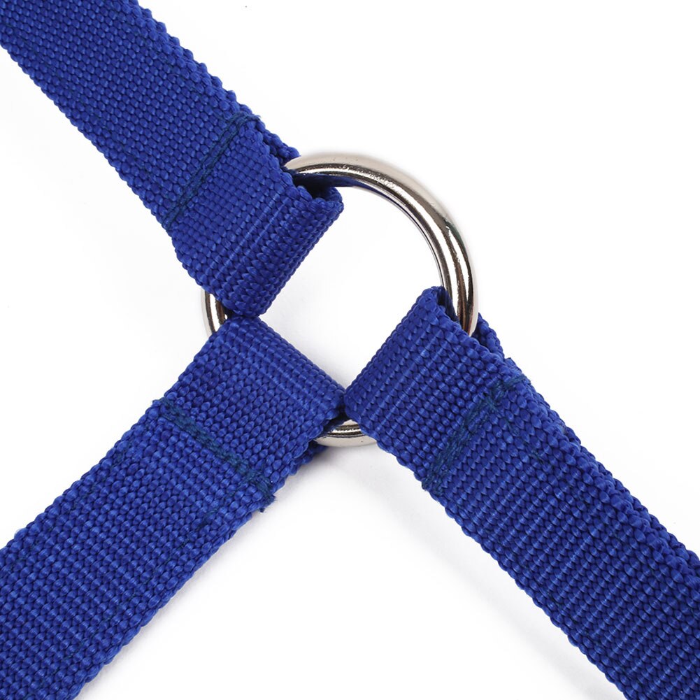 Horse Riding Belt Bridle Adjustable Halter Headstall Horsing Accessory Red/Blue