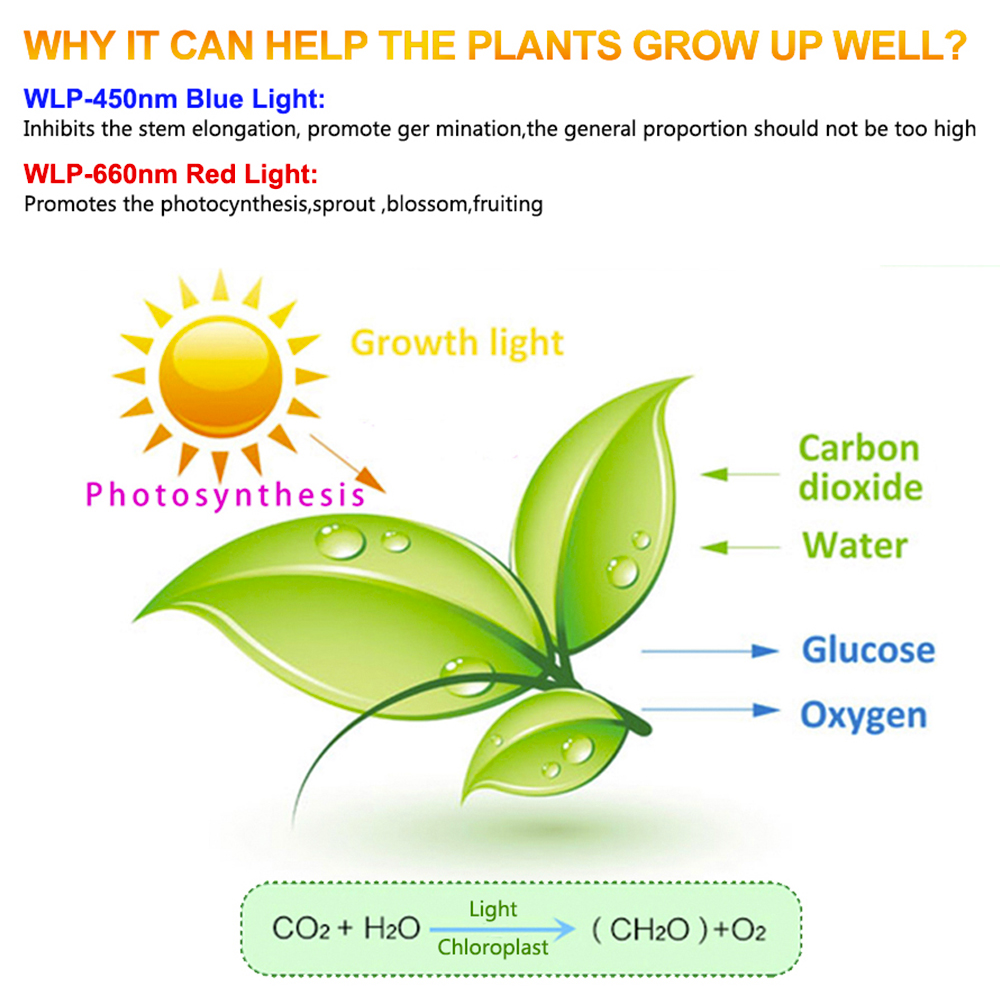 6pcs COB LED Chip Grow Light Full Spectrum Light 50W 30W 20W LED Grow Light for Greenhouse Hydroponic Flower Seeding Grow Light