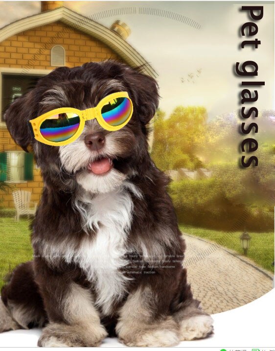 Gafas de protección para perros, gafas de sol con protección UV para gatos, gafas de sol Multicolor para perros, productos para mascotas, accesorios, gafas de protección para perros