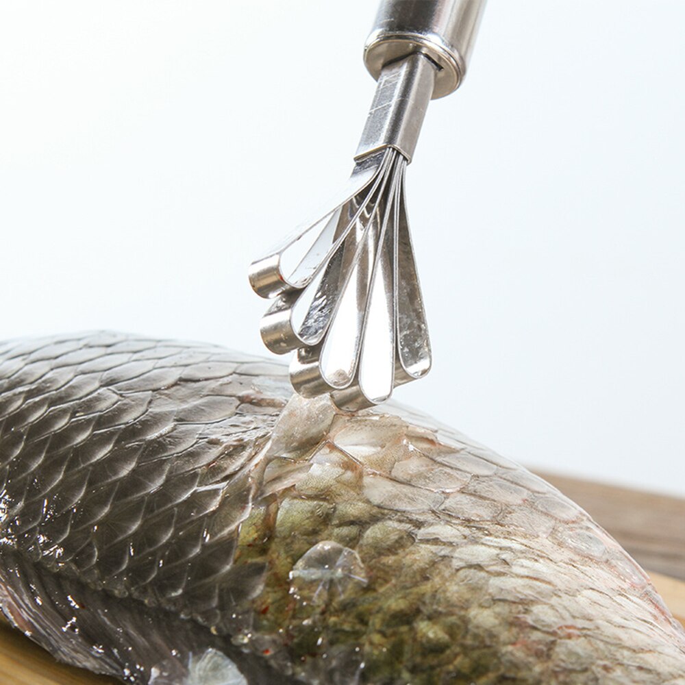 Coconut Planer Kitchen Stainless Steel Shredded Coconut Scrape Coconut Meat Fish Scale Planer Planer Tools Accessories
