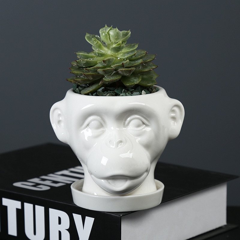 Cartoon aap keramische bloempot dier vetplanten bloempot containers huis buiten tuin mini bonsai bureaubladdecoratie met dienblad