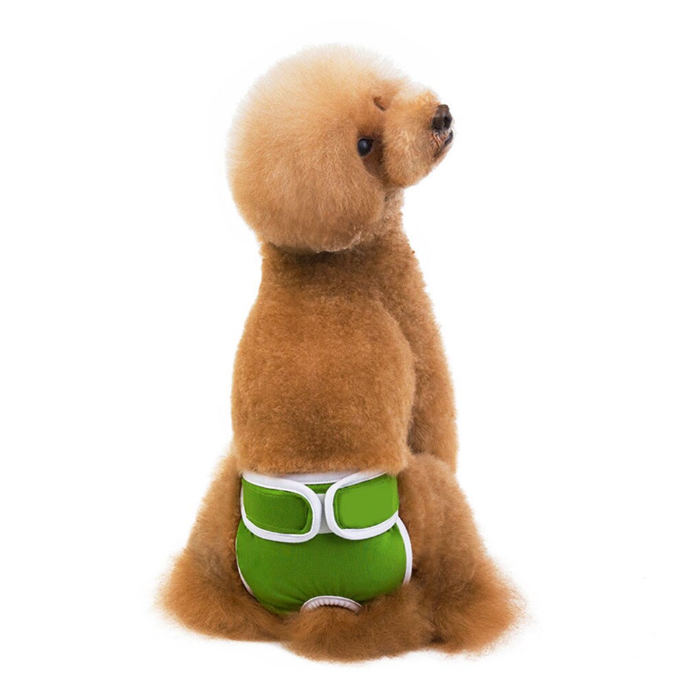 Dog Diapers Physiological Pants Washable Female Dog Shorts Soft Dogs Pants Pets Underwear Sanitary Panties S-2XL: Green / M
