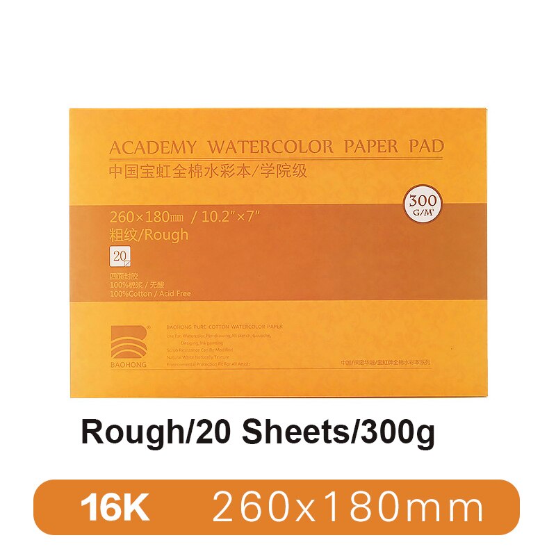 BAOHONG – papier aquarelle pour artistes, tampon texturé pour peinture, crayon, encre, charbon de bois, Pastel et acrylique, 20 feuilles 300 g/m², blanc: 16K Academy Rough