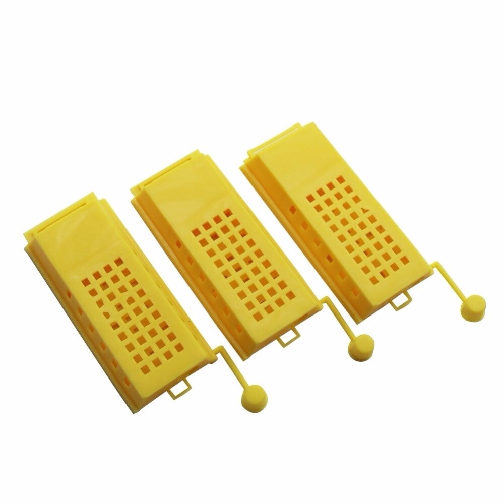 Protection Queen Bee Cage Bee Tools Bee transport cages Farm Beekeeping Equipment Queen bee rearing device 50 Pcs: YELLOW