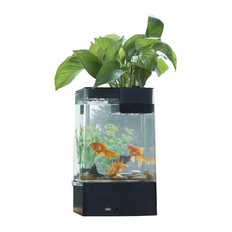 Mini pecera pequeña de escritorio, cubo de agua de cambio libre multifunción, accesorios de Acuario, , color claro